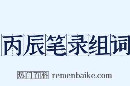 丙辰笔录组词是什么意思的图片